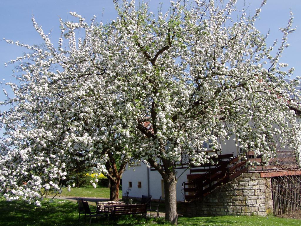 Ferienwohnung Obermühle Ballstädt Zimmer foto